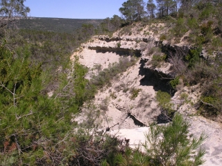 FALAISES DE LAURET-herault
