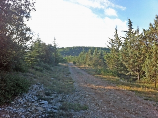 SAINT-CLEMENT-DE-RIVIERE-herault