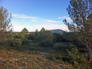 SAINT-CLEMENT-DE-RIVIERE-herault