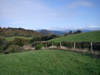 FORET DES MONTS D ORB-herault