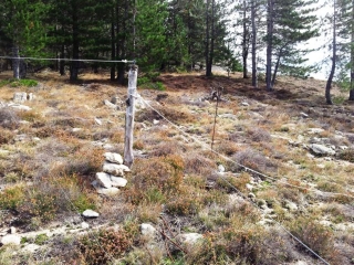 VILLAGE DE BARDOU-herault