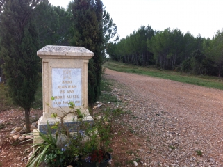 BOIS DE CLAPIERS-herault