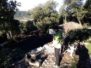 SAINTE-CROIX-DE QUINTILLARGUES-herault