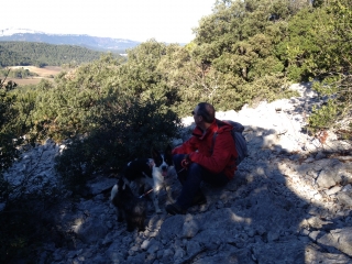 SAINTE-CROIX-DE QUINTILLARGUES-herault