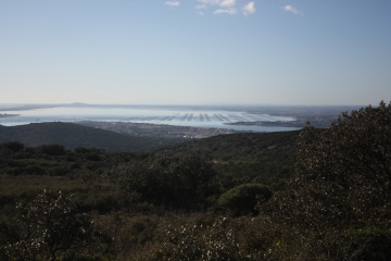 ABBAYE DE MONTCEAU - VERSION COURTE-herault