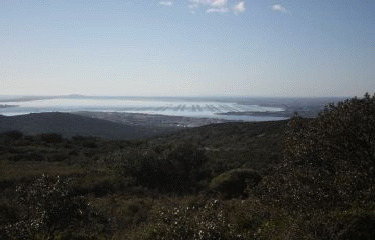 ABBAYE DE MONTCEAU - VERSION COURTE-herault