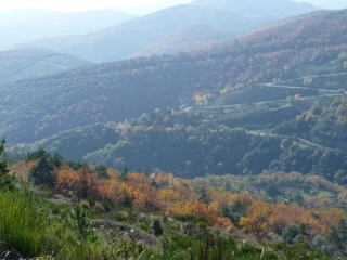 BOUSQUET-D-ORB-herault