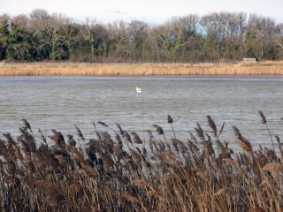 MAISON DE LA NATURE - LATTES-herault