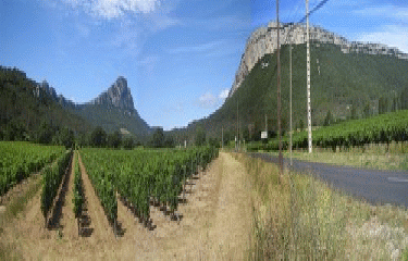 HORTUS - CHATEAU DE VIVIOURES-herault