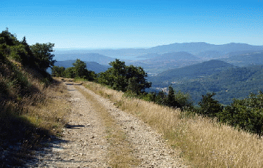 LODEVE - PLATEAU DU GREZAC-herault