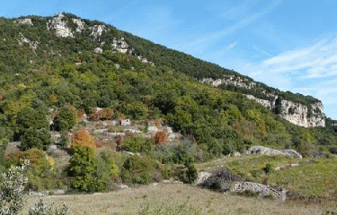 LODEVE - PLATEAU DU GREZAC-herault