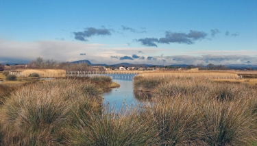 CANDILLARGUES - SENTIER DECOUVERTE-herault