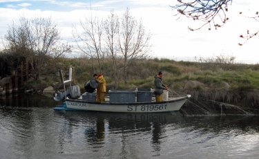 CANDILLARGUES - SENTIER DECOUVERTE-herault