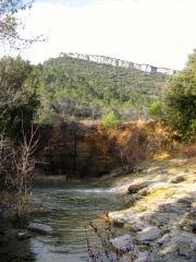 LAURET - BOIS DU PUECH DE DOLGUE-herault