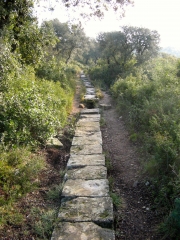 CASTRIES - LES TRUSQUETS-herault