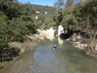 SAINT-JEAN-DE-CUCULLES - LES MATELLES-herault