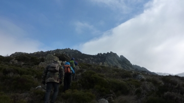 MAUROUL - RAMANDURE-herault