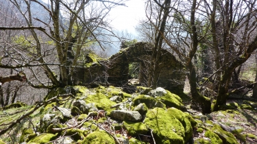 MAUROUL - RAMANDURE-herault