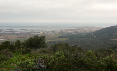 LA GARDIOLE - VIC LA GARDIOLE-herault
