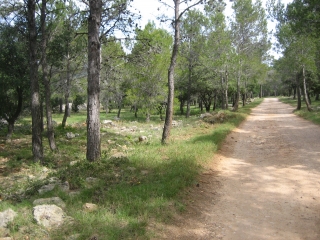 SAINT-JEAN-DE-FOS-herault