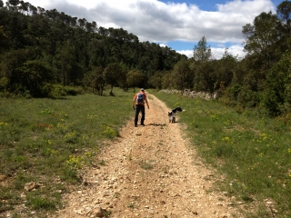 POUECHABON - COMBE DES GOURS-herault