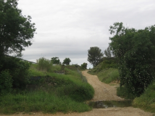 SAINT-GENIES-DES-MOURGUES-herault