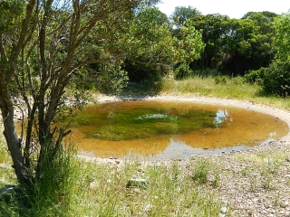 VIOLS-LE-FORT (2)-herault