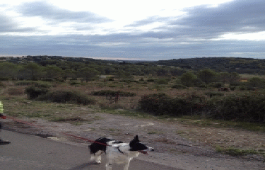 ST-GEORGES - MURVIEL-herault