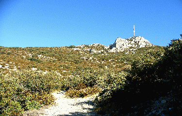 PIC SAINT BAUDILLE-herault