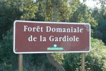 LA GARDIOLE (1)-herault