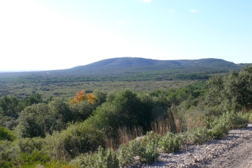 LA GARDIOLE (2)-herault
