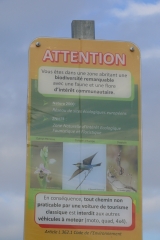 COLLINE DE LA MOURE (1)-herault