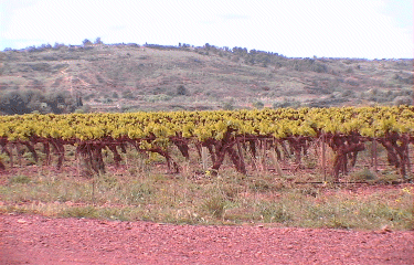 CIRCUIT DES EOLIENNES-herault