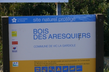FRONTIGNAN - BOIS DES ARESQUIERS-herault