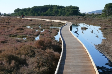 FRONTIGNAN - BOIS DES ARESQUIERS-herault