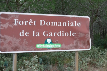 LA GARDIOLE (4)-herault