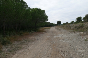 LA GARDIOLE (4)-herault