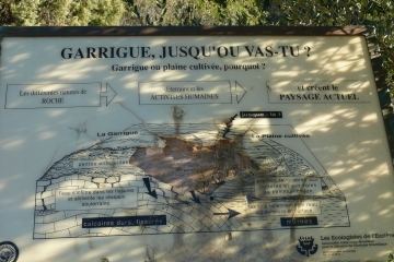 BALARUC-LE-VIEUX -herault