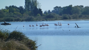 TOUR DU LAC DU PONANT-herault