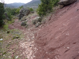 DIO - ST AMANS CHAPELLE-herault