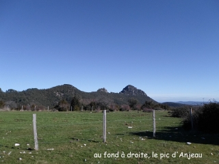 GORNIES - FORET DE LA VIS-herault