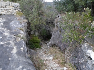 GORNIES - FORET DE LA VIS-herault