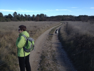 SAUSSINES - CAPITELLES DE LA BENOVIE-herault