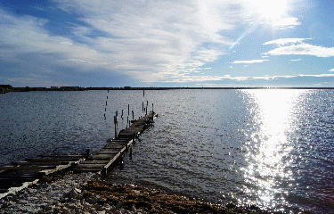 MAUGUIO - CABANES AU BORD DE L ETANG-herault