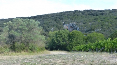 SOURCE DU LIROU-herault