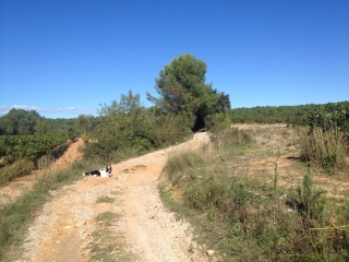AU-DESSUS DE TEYRAN-herault