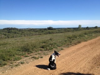 AU-DESSUS DE TEYRAN-herault