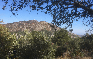 ARBORAS - LE VAL DURAND - MONT ST-BAUDILLE-herault