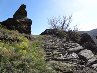 CROIX DE BAUSSEL - COL DE LA PIERRE PLANTEE-herault