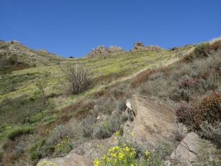 CROIX DE BAUSSEL - COL DE LA PIERRE PLANTEE-herault